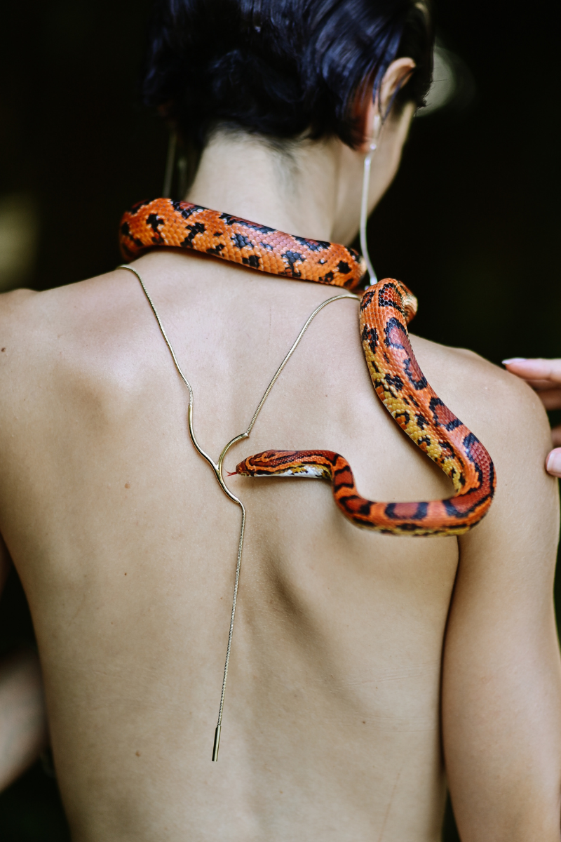 WRAPPED IN GOLDEN SPELL